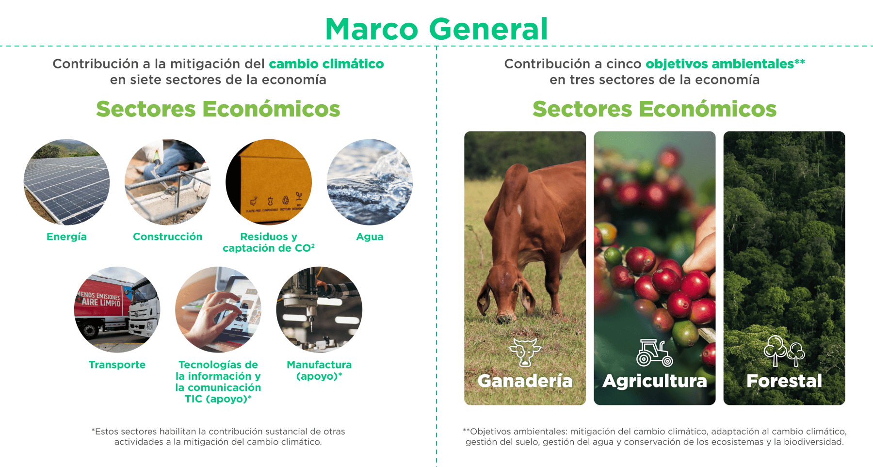 Imagen Sector Economico