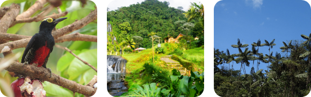 Imagen Banner de Gobernanza