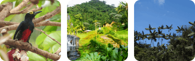 Imagen Banner de Gobernanza